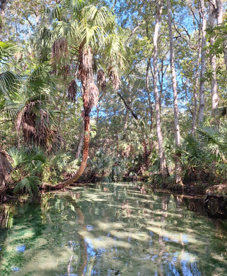 Boat Tour Crystal River | Cruises And Snorkling Adventures